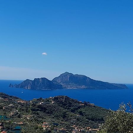 Al Calar Del Sole Villa Massa Lubrense Ngoại thất bức ảnh
